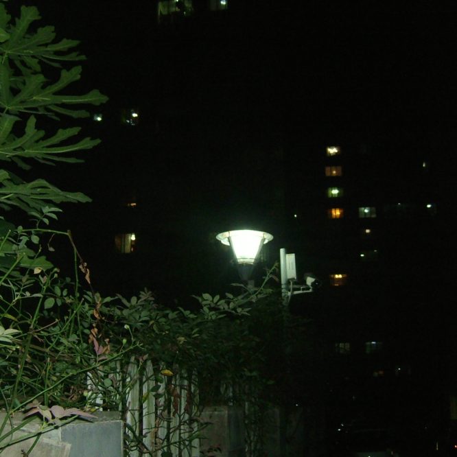 DSCF4974